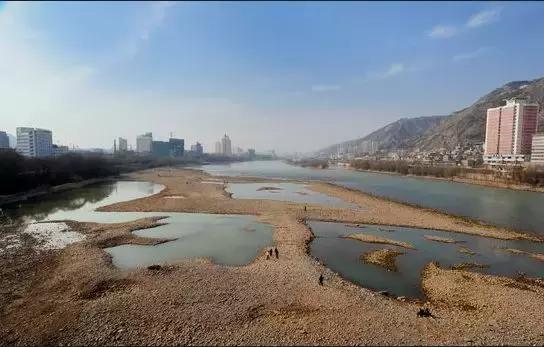 快乐的夹河滩（文/张凤鸣）