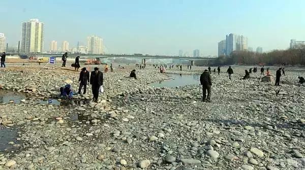 快乐的夹河滩（文/张凤鸣）