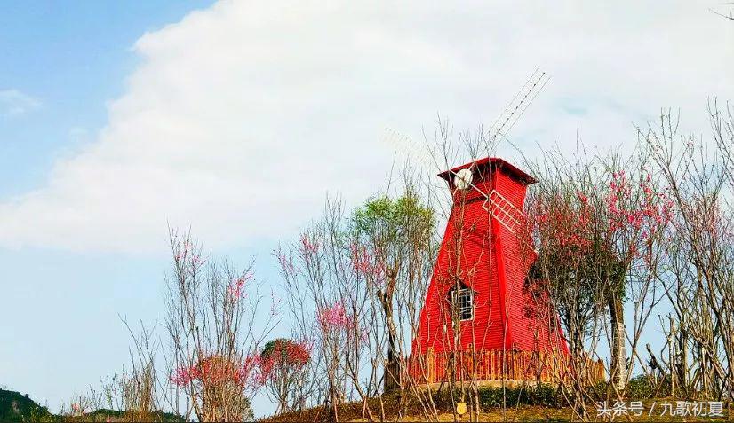 雅安桃花岛桃花开了没有,雅安桃花岛景区