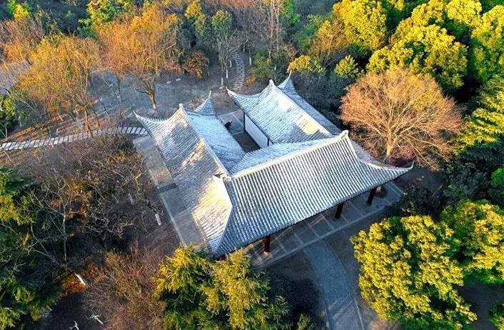 滨海，向全世界发出邀请！