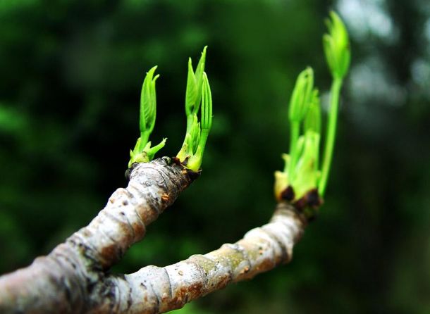 网友投稿亲身经历中邪故事,网友亲身经历的邪门事件