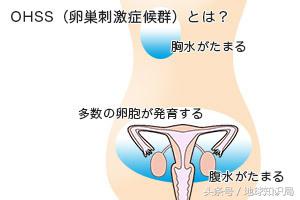 为什么有这么多女大学生热衷于做这件事？地球知识局