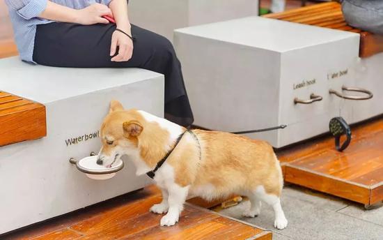 2023年airjordan复刻,airjordan因为logo的问题打官司