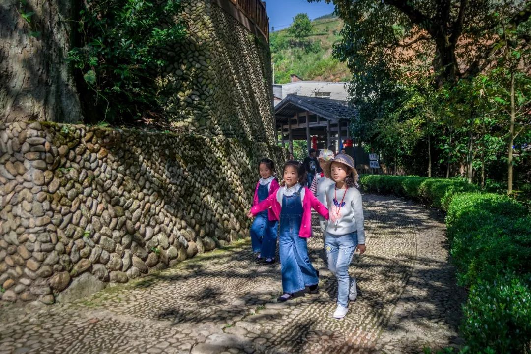 柘荣黄柏景点,柘荣黄柏村旅游攻略