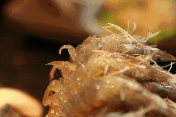 悦来温德姆酒店亲子游,北京龙城温德姆酒店住宿团购