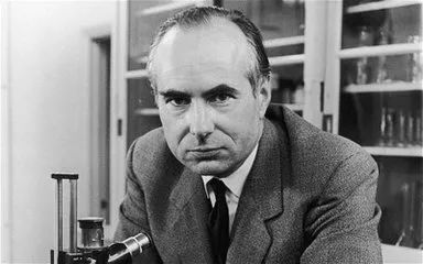 huxley仙人掌面膜吐槽,韩国huxley面膜推荐