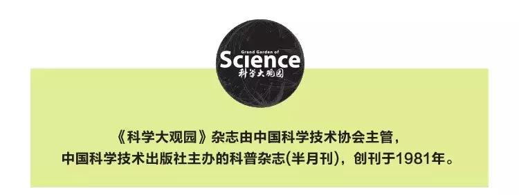 红楼梦妙玉槛外人,妙玉自称槛外人是什么意思