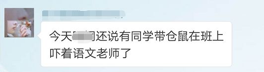 武汉仓鼠咬到小孩,小孩被小仓鼠咬伤