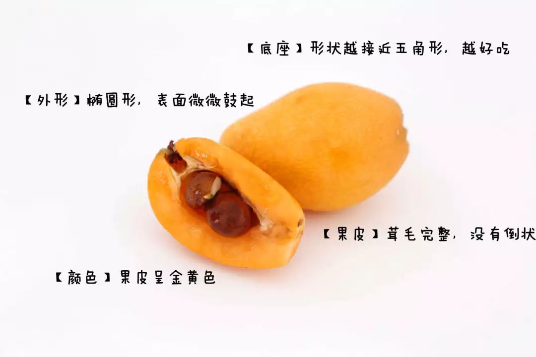 吃枇杷需要去皮吗,吃枇杷就要这样吃才过瘾呢