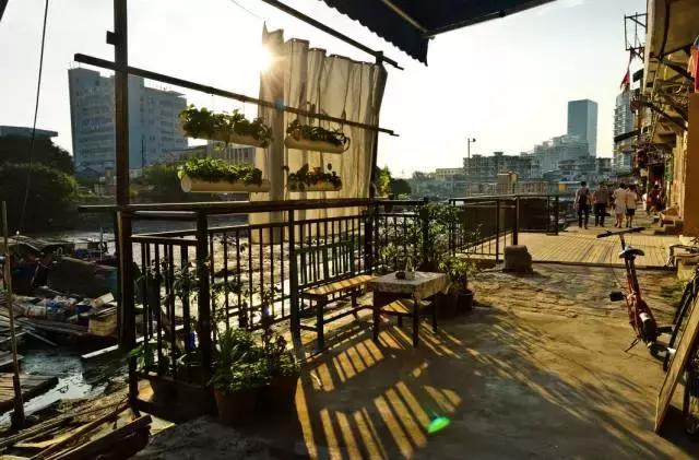 真正的厦门是什么样子,真实的厦门怎么样