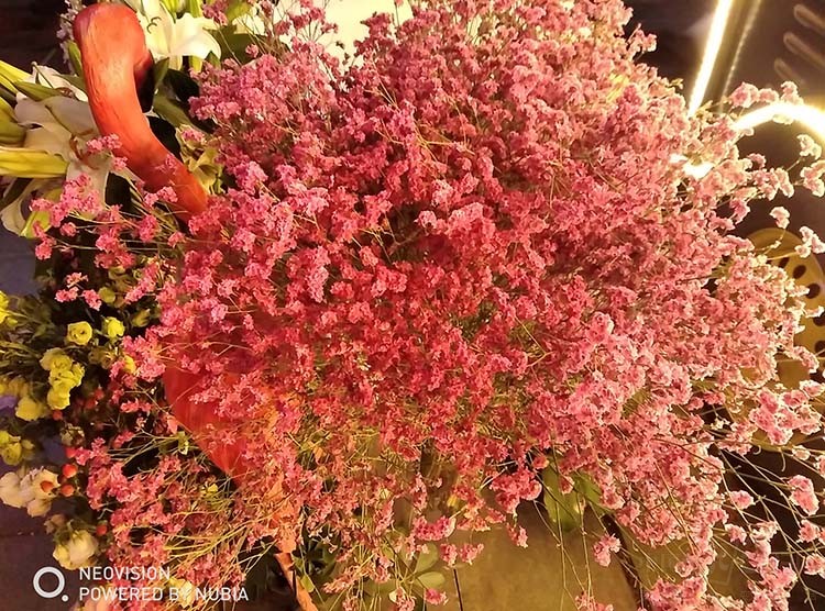 努比亚30w双口氮化镓快充测评,努比亚全面屏手机测评