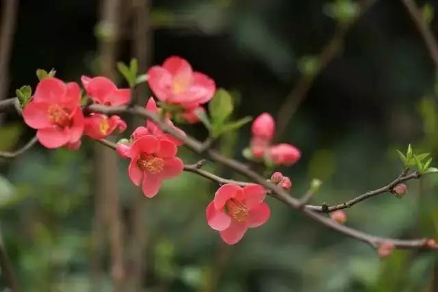 户口本上出生日期和实际上不一样,户籍出生日期和出生证明日期不符