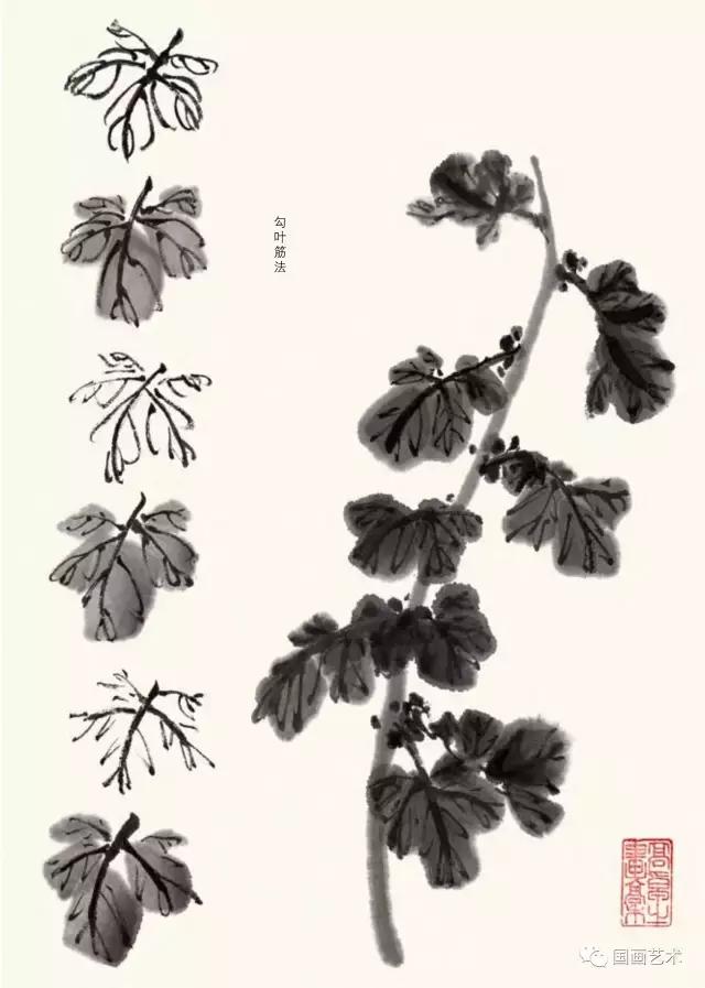 名家画菊花国画视频,名家国画花鸟视频教学菊花