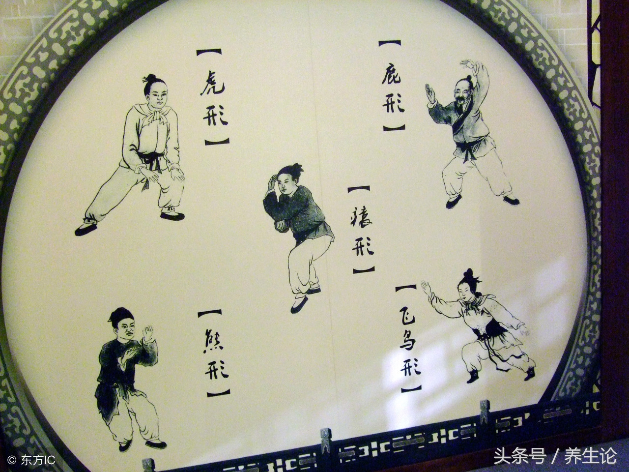 养生的发展史,系统了解养生知识。