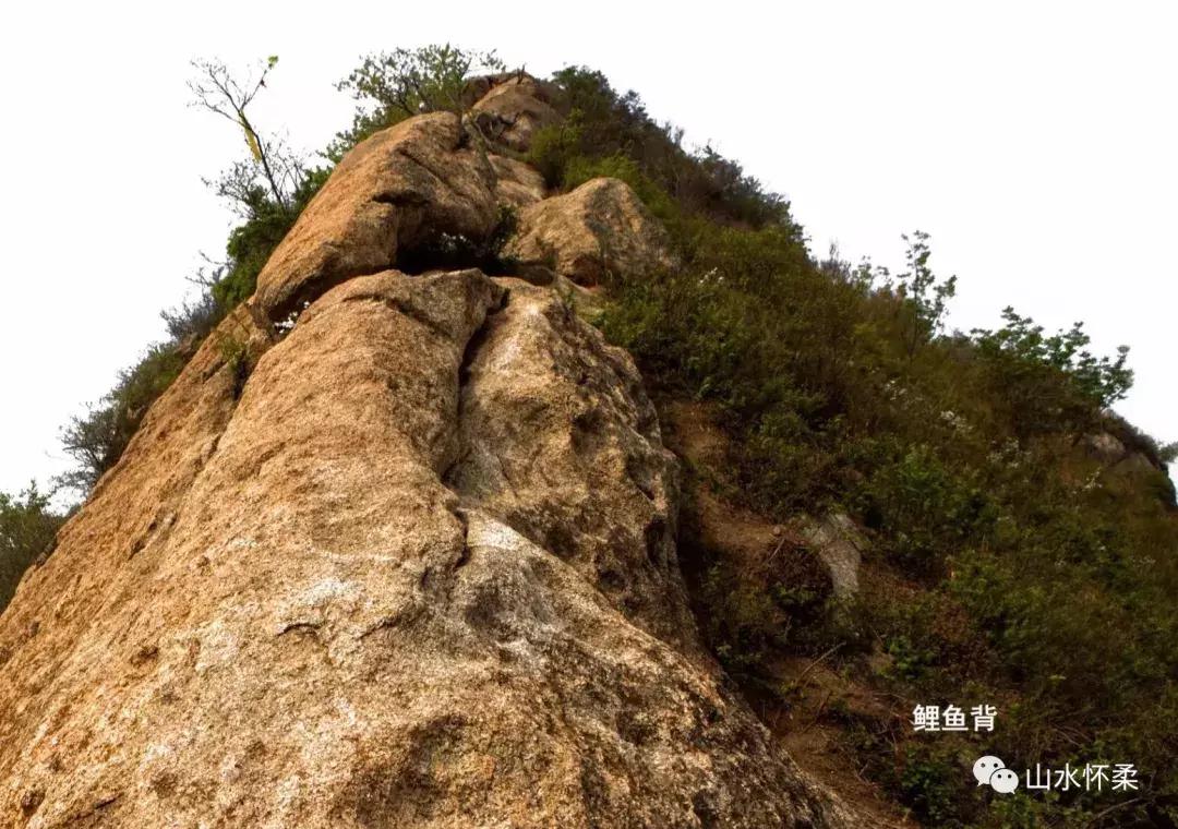 长城文化带建设,长城古文化