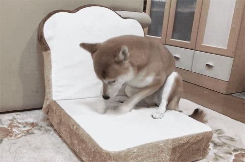 盘点面包｜给仇人一块这样的面包，你猜会发生什么？