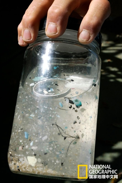 太平洋垃圾带,太平洋垃圾带什么样子