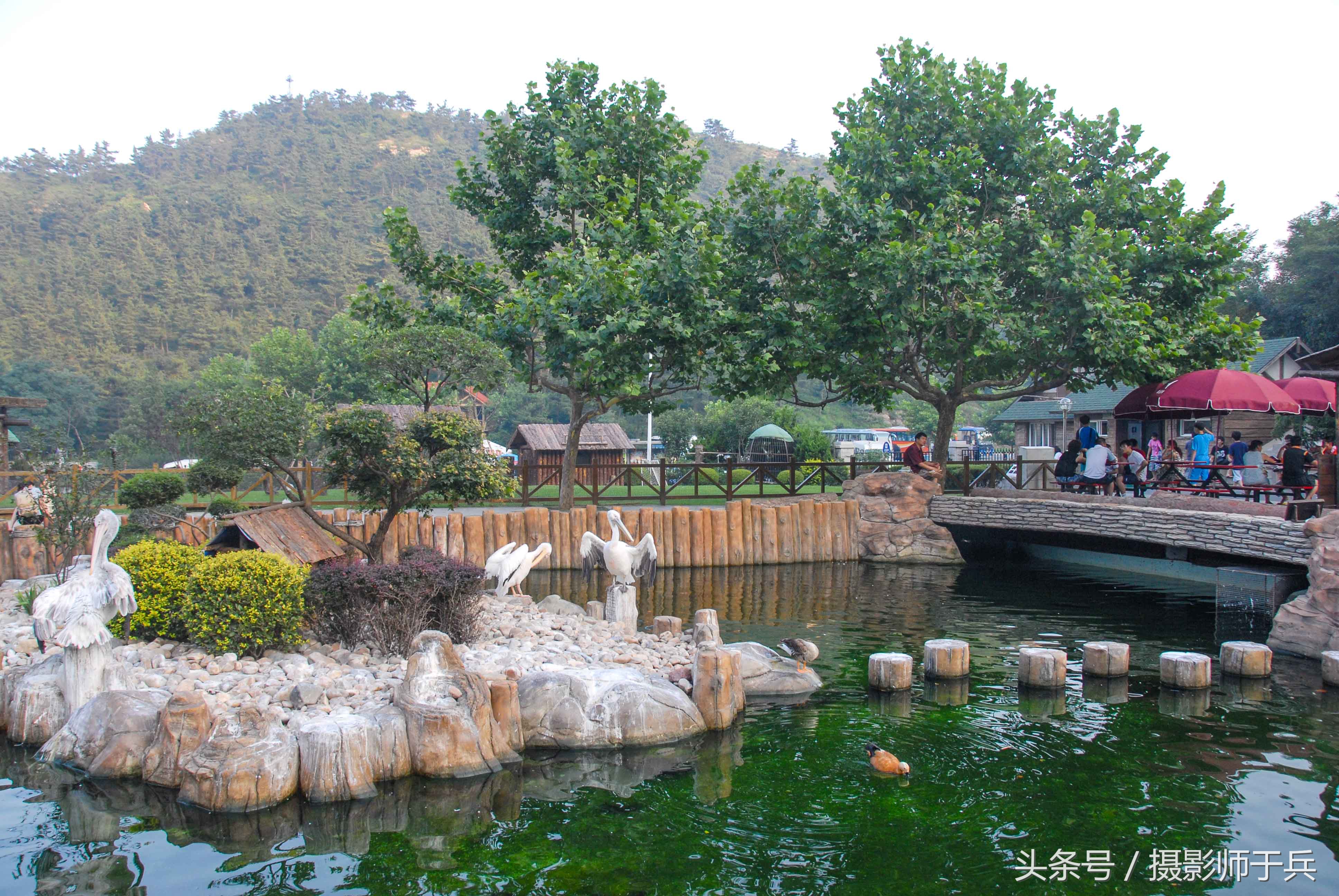 大连海洋主题公园在哪里,大连最著名的老虎滩海洋公园