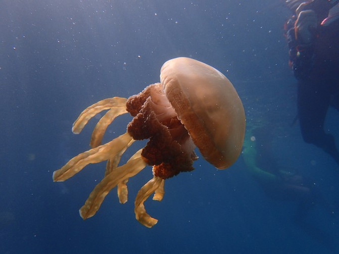 闺蜜一起游东湖公园,跟闺蜜一起去观光大海