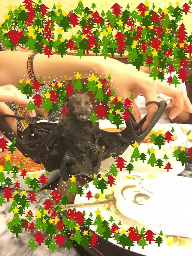 闺蜜一起游东湖公园,跟闺蜜一起去观光大海