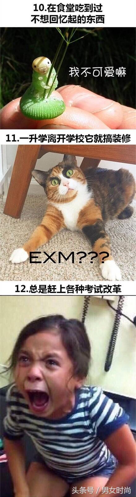 上课摸同桌大腿：学生时代那些暧昧有趣的事