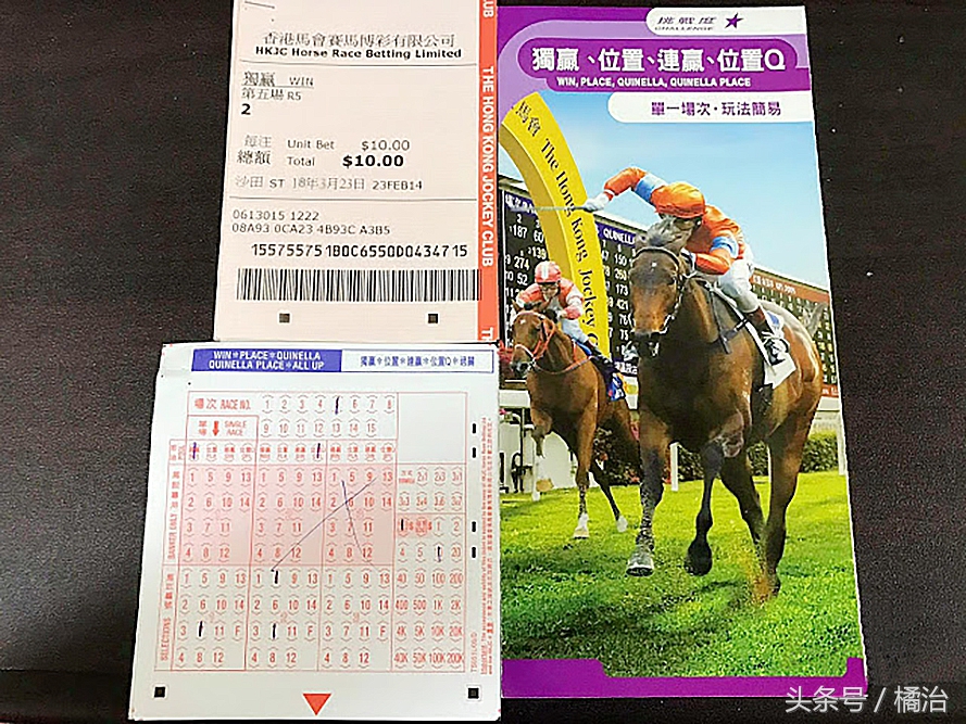去香港赛马场，买张马票看马儿热血冲刺，超酷！（内含详细攻略）