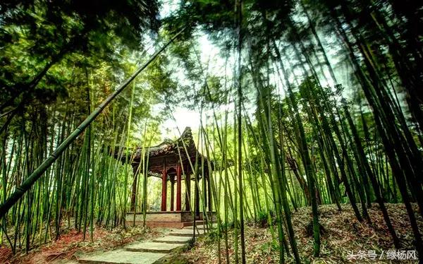 扬州瘦西湖风景区门票,春节扬州瘦西湖门票免费吗