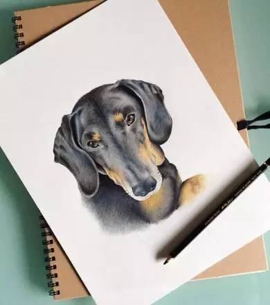 从几块钱到上万元的画画工具，你应该了解的知名画材品牌