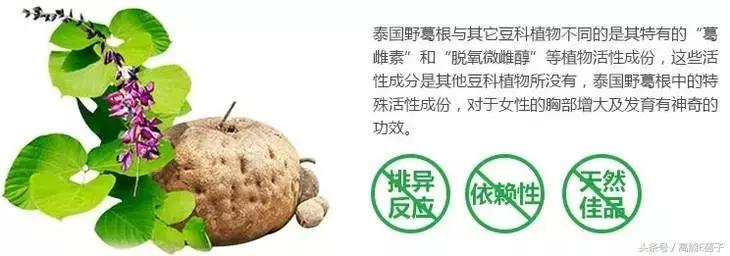 人生已经如此的艰难下一句,人生已经如此的艰难前一句