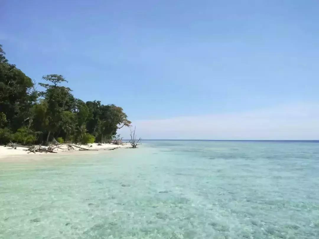 仙本那和印度尼西亚潜水哪个更好,仙本那彩湖潜水度假村多少钱一天