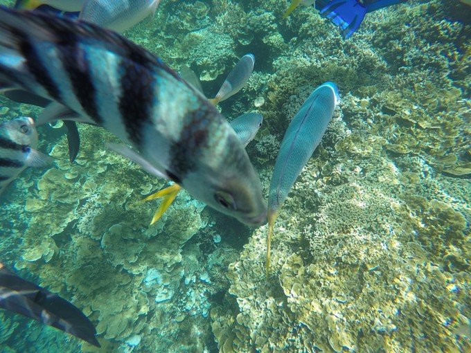 宝贝喜欢小金鱼,宝贝喜欢玩水