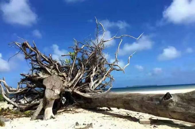 宝贝喜欢小金鱼,宝贝喜欢玩水