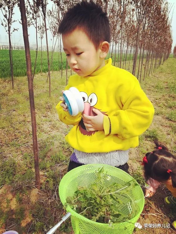 春暖花开别人出去春游,春暖花开溜娃的好地方