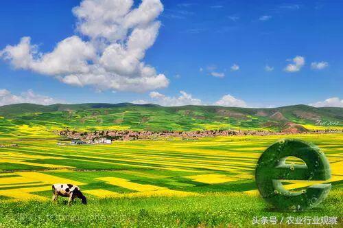 生态菜园盈利模式,私家菜园创业计划书