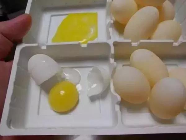 宠物龟怎么避免吃自己的蛋,宠物龟下蛋后自己吃了