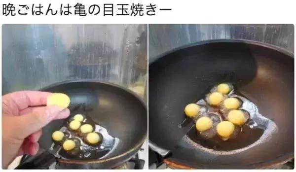 宠物龟怎么避免吃自己的蛋,宠物龟下蛋后自己吃了