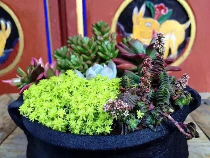 春来花自青秋至叶飘零原文解释,春来花自青秋至叶飘零出自哪里