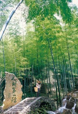 100个极易读错的汉字你错了几个,最易读错的100个汉字