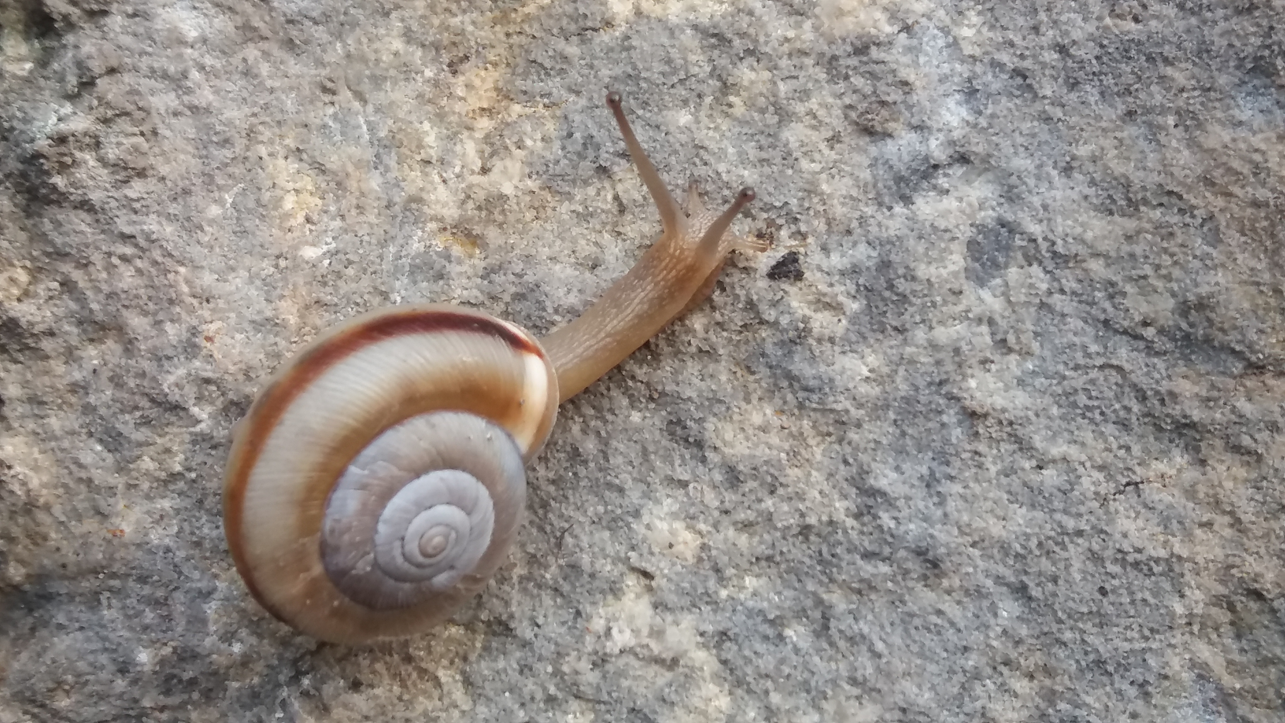 青山绿水船景区,焦作市博爱县青天河旅游景点