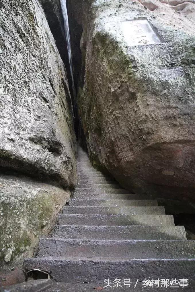 崀山鲸鱼闹海视频,不见鲸鱼的全部小说