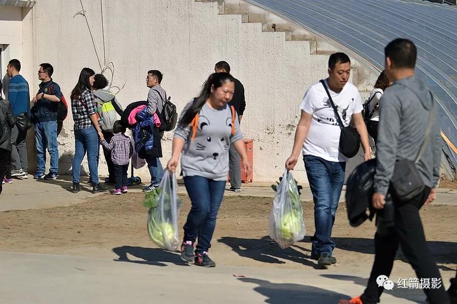 农业嘉年华北京,北京农业嘉年华延期