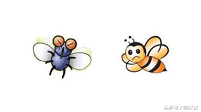 你生活中是苍蝇派还是蜜蜂派?