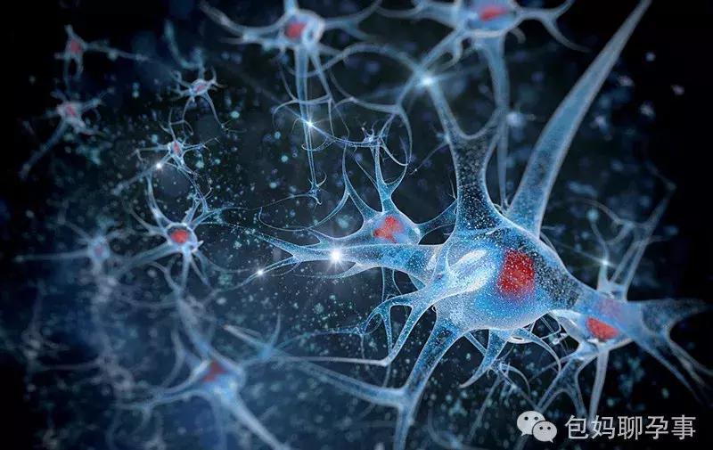 一孕傻三年是因为缺乏dha吗 (孕早期dha什么样的好)