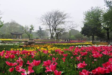 武汉地铁2号线线路图完整版,武汉地铁2号线沿途有啥好吃的