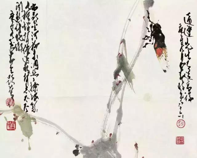赵少昂花鸟鱼虫图片,中国花鸟大师赵少昂