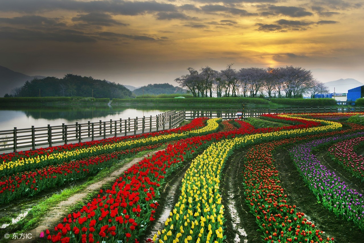 当你感觉苦了,累了,烦了,打开看看这7句话,心里就好受多了!