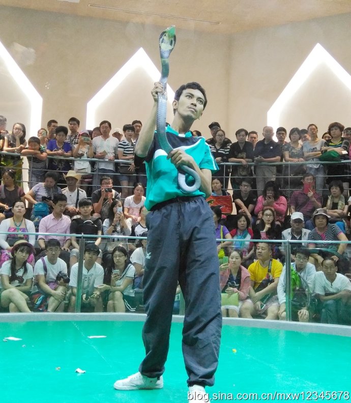 泰国人对中国游客经商都有哪些奥秘？