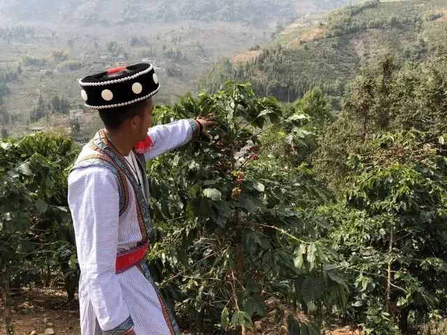 种植户名字印上咖啡售卖机,消费者每买1杯,农民就挣2元!