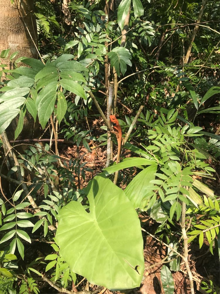 和闺蜜一起嗨的日子,和闺蜜们一起玩的快乐时光