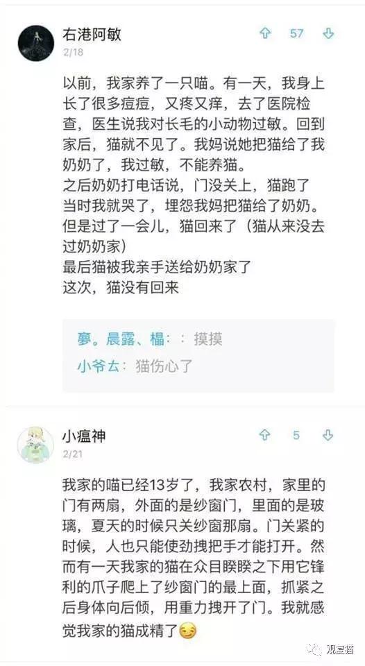 喵星人战斗力有多强,喵星人智商101